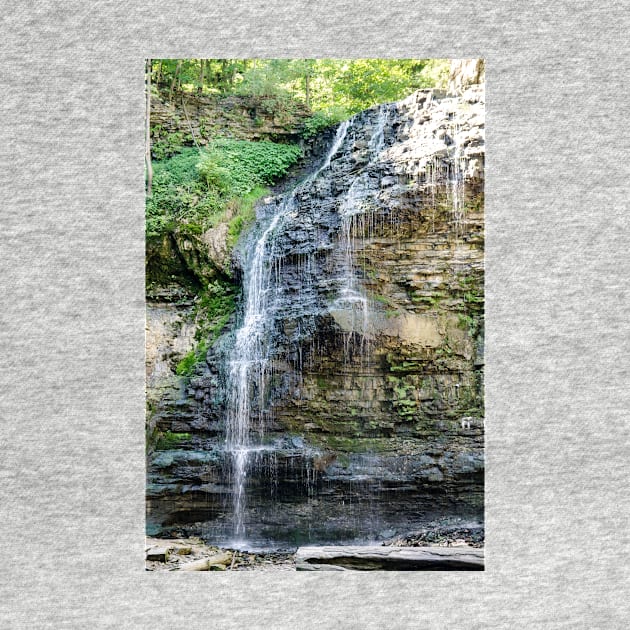 Tiffany Falls Hamilton by srosu